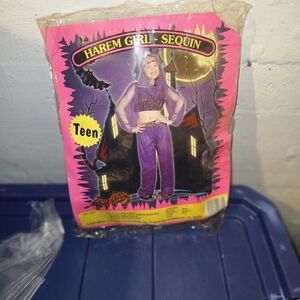 Purple Sequin Harem Girl Costume